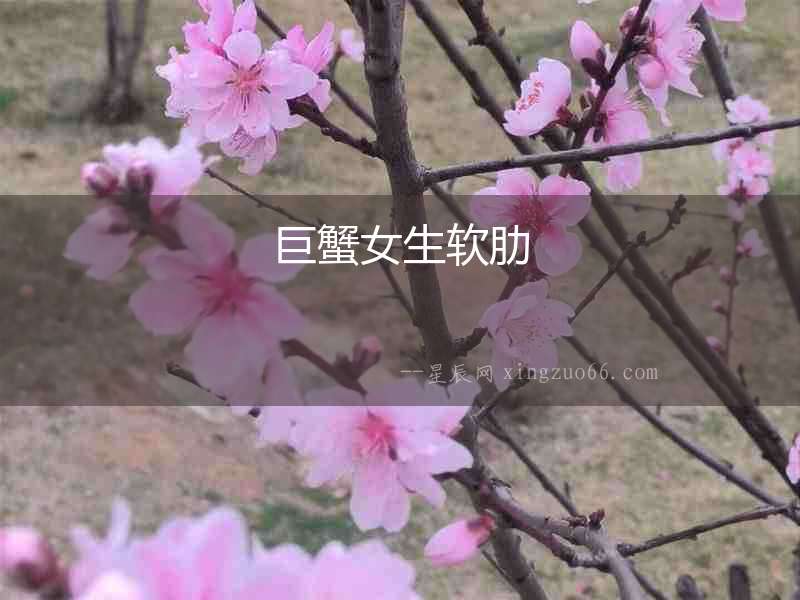 巨蟹女生軟肋