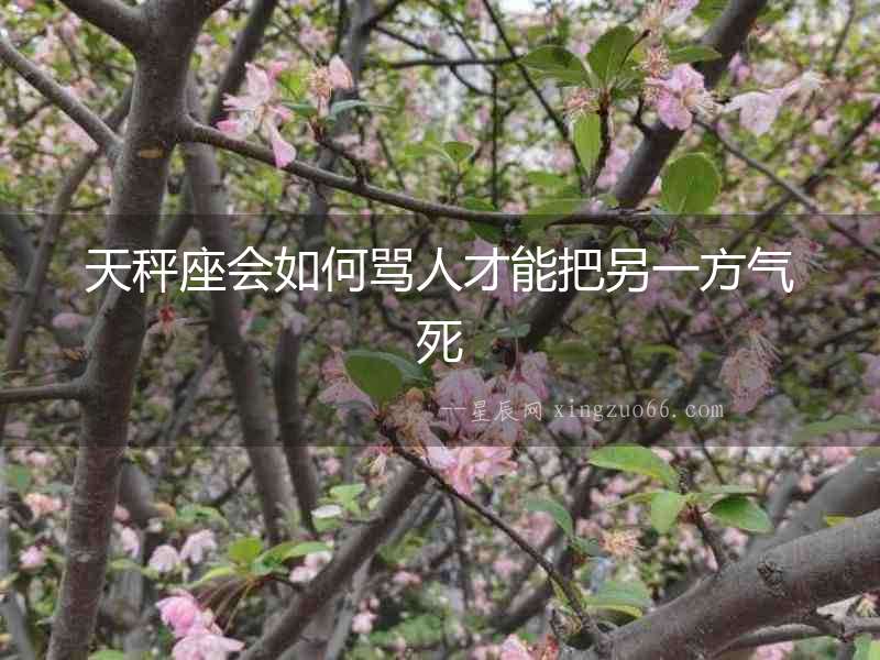 天秤座會如何罵人才能把另一方氣死