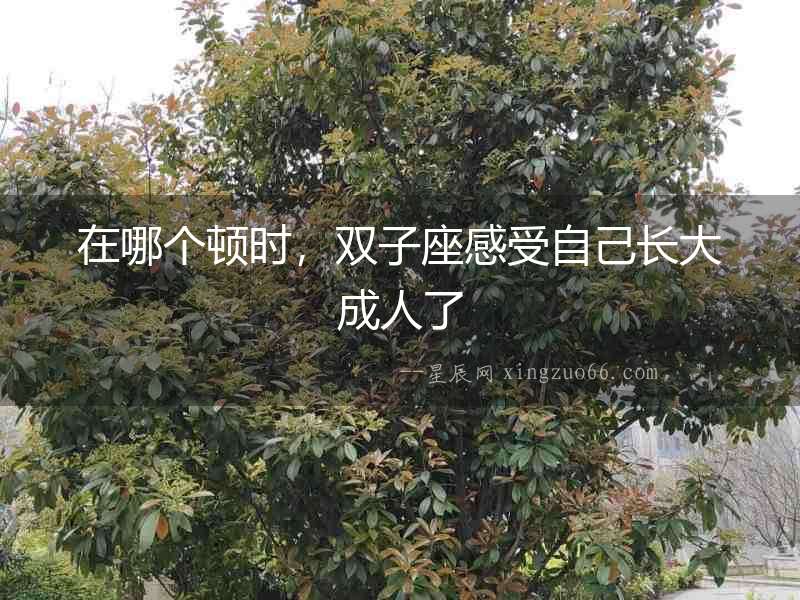 在哪個頓時，雙子座感受自己長大成人了
