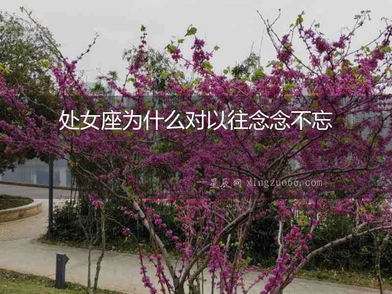 處女座為什么對以往念念不忘