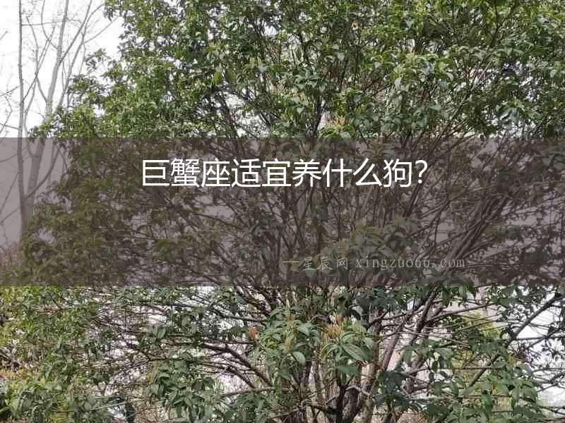 巨蟹座適宜養(yǎng)什么狗？
