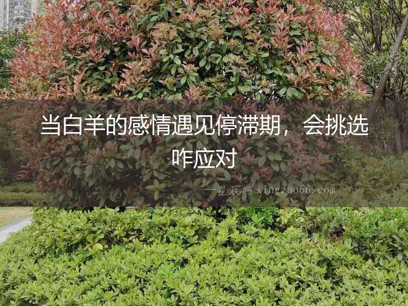 當白羊的感情遇見停滯期，會挑選咋應(yīng)對