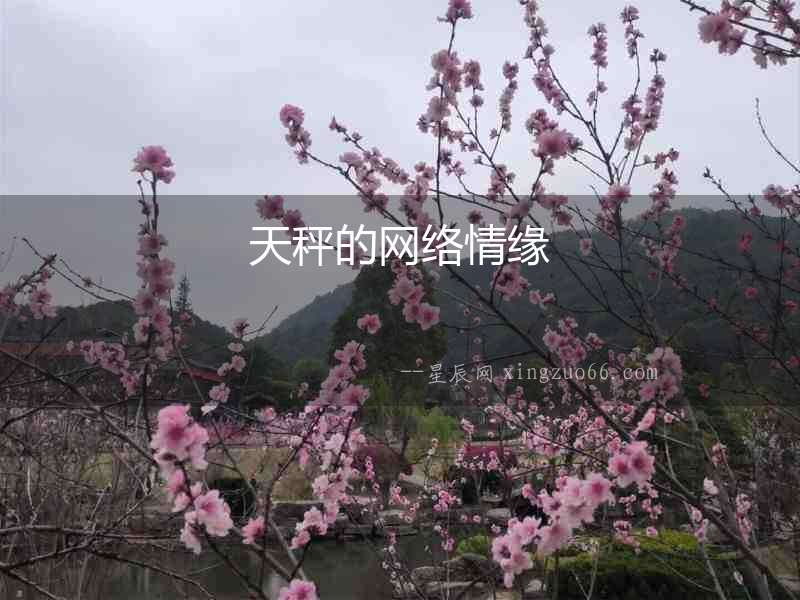 天秤的網(wǎng)絡(luò)情緣