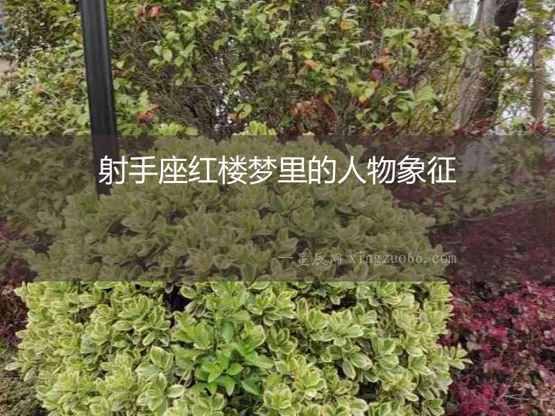 射手座紅樓夢里的人物象征