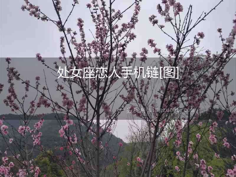 處女座戀人手機鏈[圖]