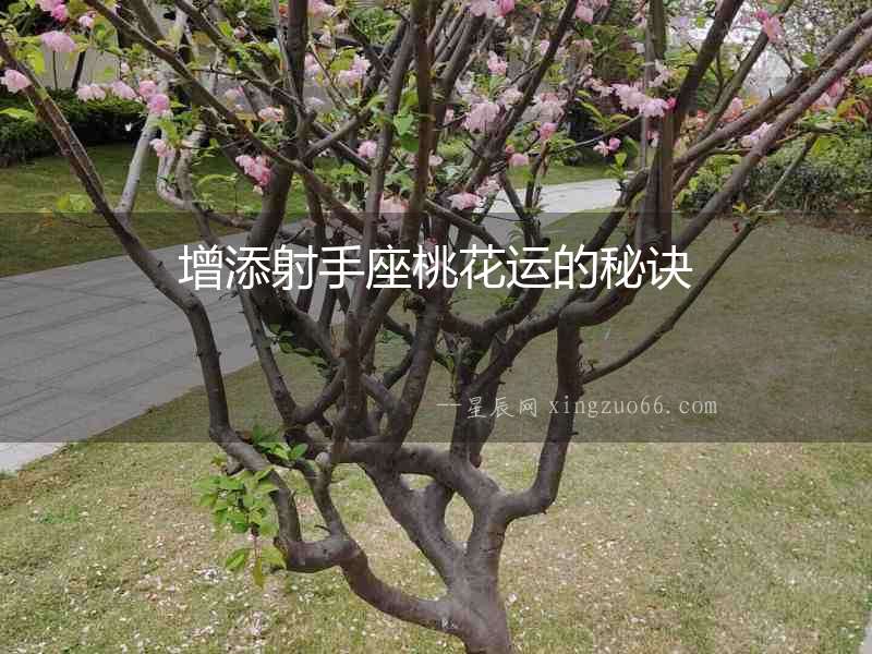 增添射手座桃花運的秘訣