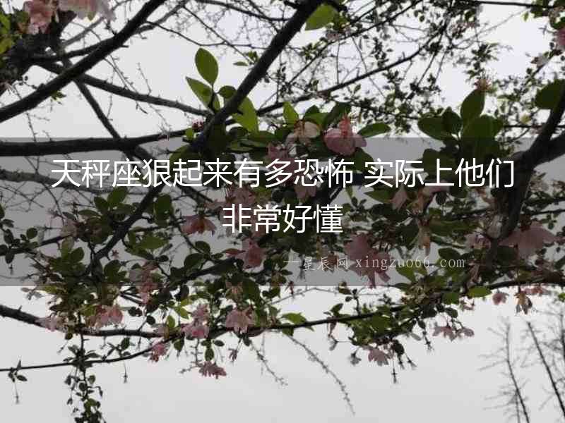 天秤座狠起來有多恐怖 實(shí)際上他們非常好懂