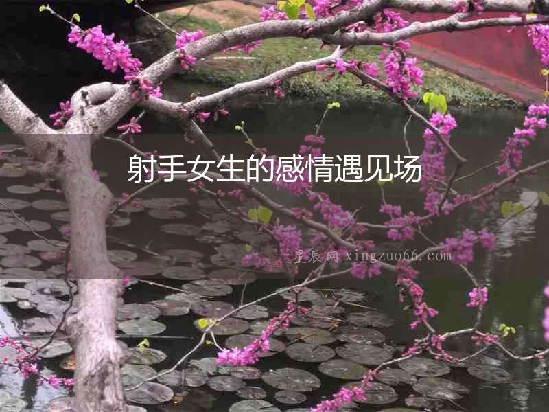 射手女生的感情遇見(jiàn)場(chǎng)