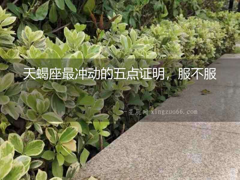 天蝎座最沖動的五點證明，服不服
