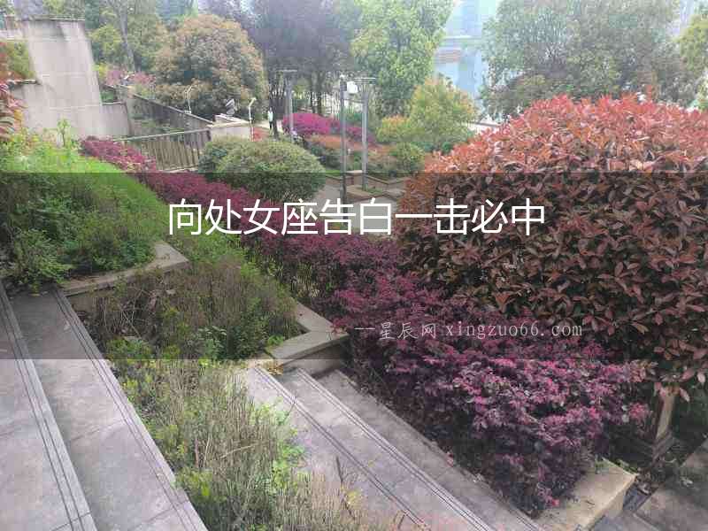 向處女座告白一擊必中