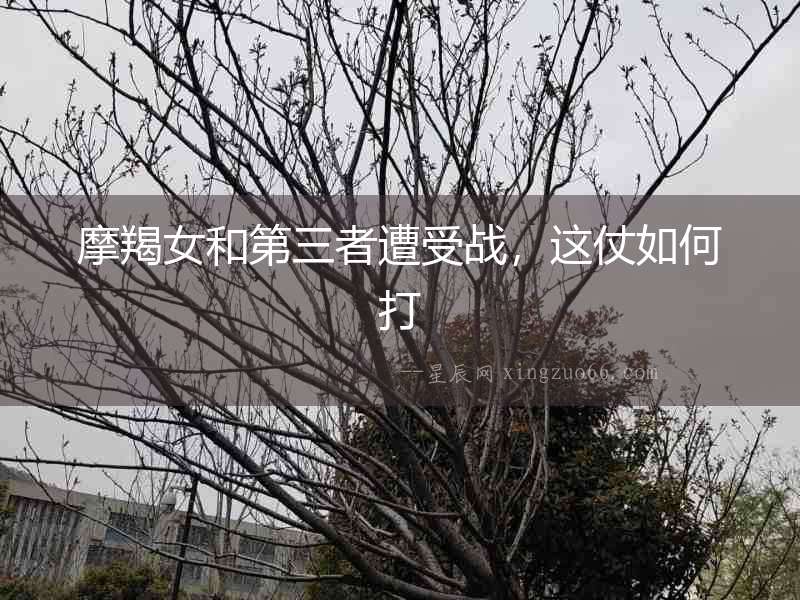摩羯女和第三者遭受戰(zhàn)，這仗如何打