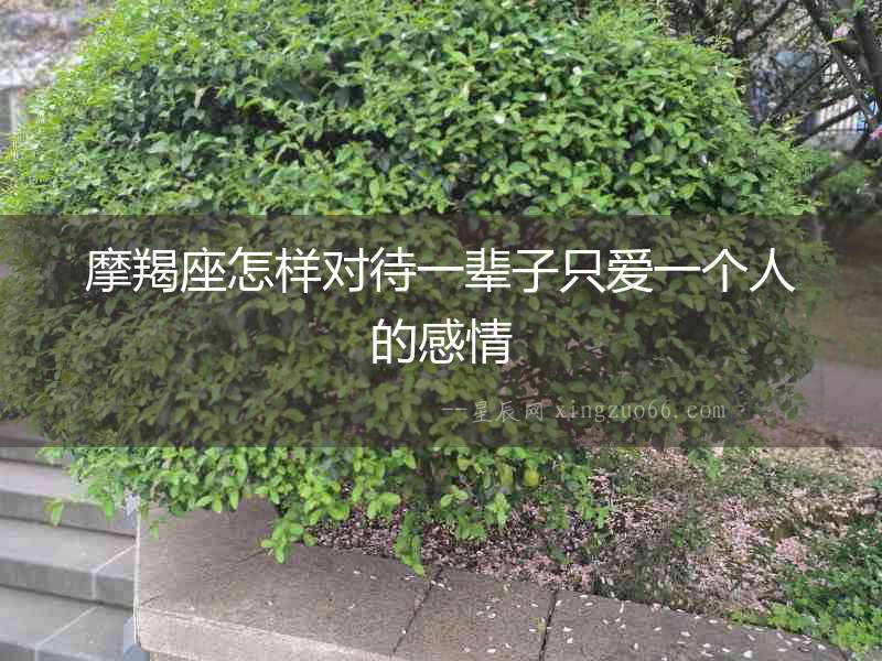 摩羯座怎樣對(duì)待一輩子只愛一個(gè)人的感情
