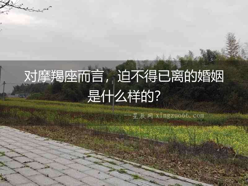 對摩羯座而言，迫不得已離的婚姻是什么樣的？