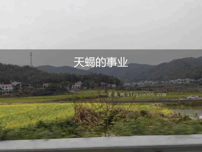 天蝎的事業