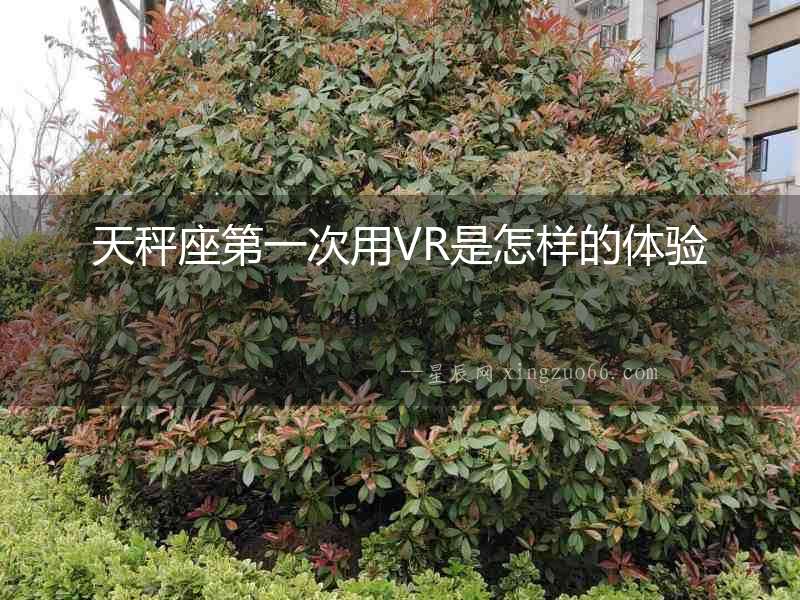 天秤座第一次用VR是怎樣的體驗(yàn)