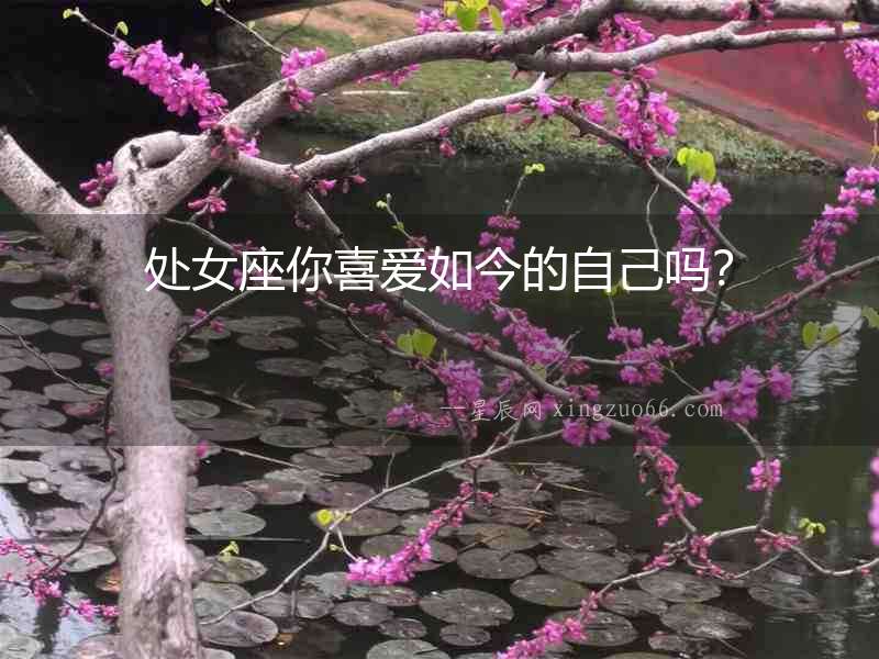 處女座你喜愛(ài)如今的自己?jiǎn)幔? alt=