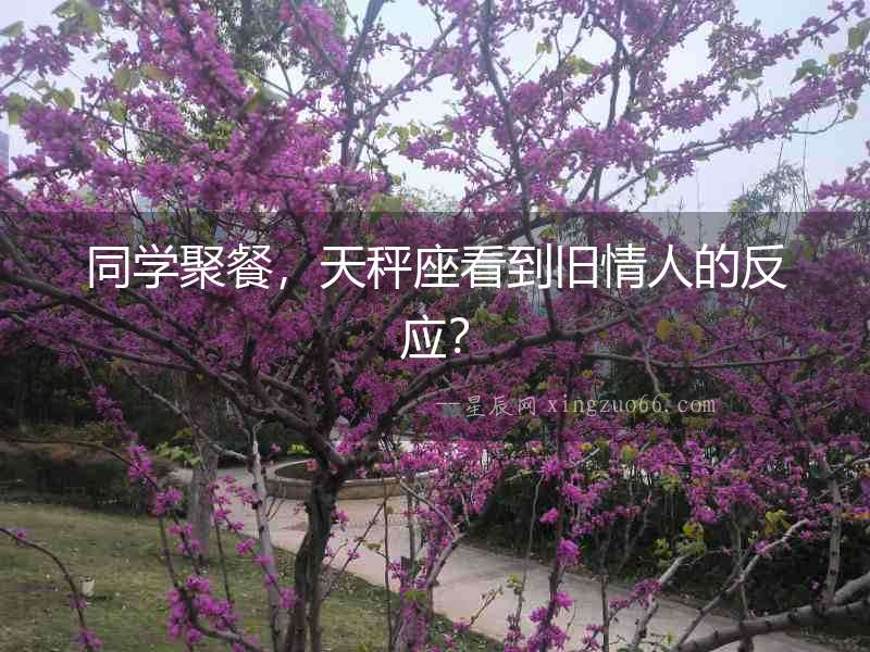同學聚餐，天秤座看到舊情人的反應(yīng)？