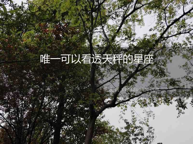 唯一可以看透天秤的星座