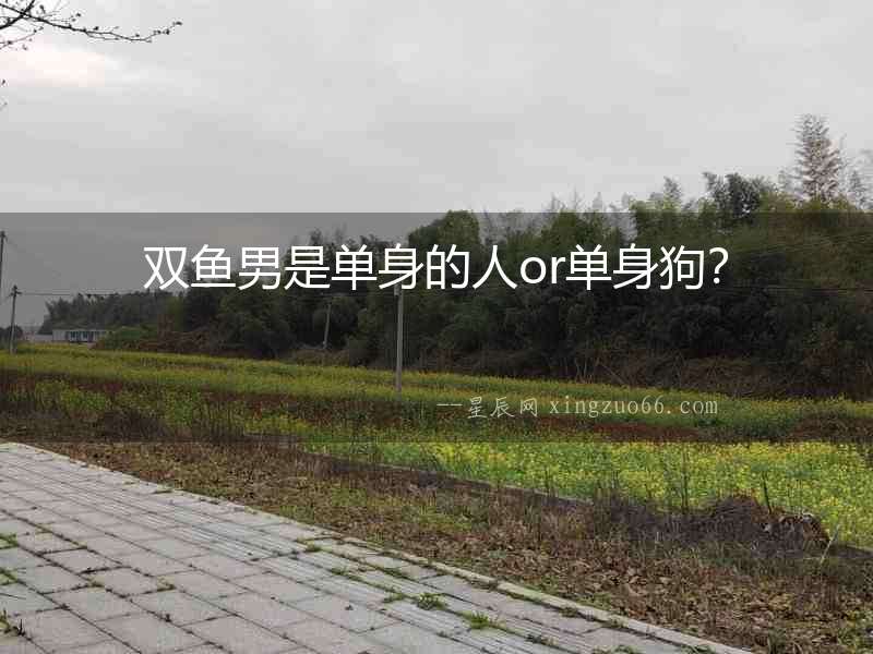 雙魚(yú)男是單身的人or單身狗？