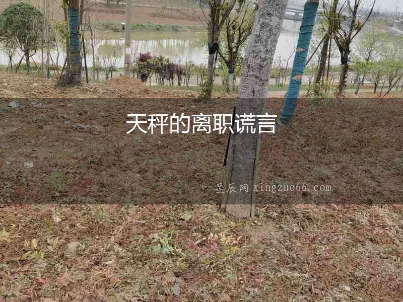 天秤的離職謊言