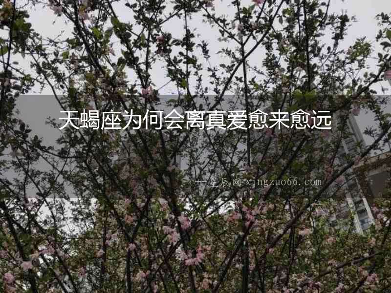 天蝎座為何會離真愛愈來愈遠(yuǎn)