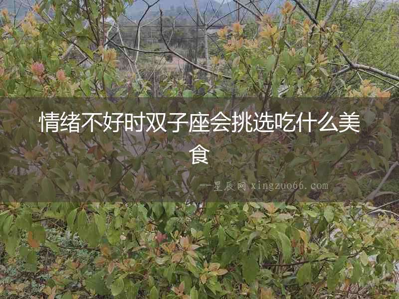 情緒不好時(shí)雙子座會(huì)挑選吃什么美食