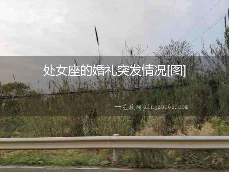 處女座的婚禮突發(fā)情況[圖]