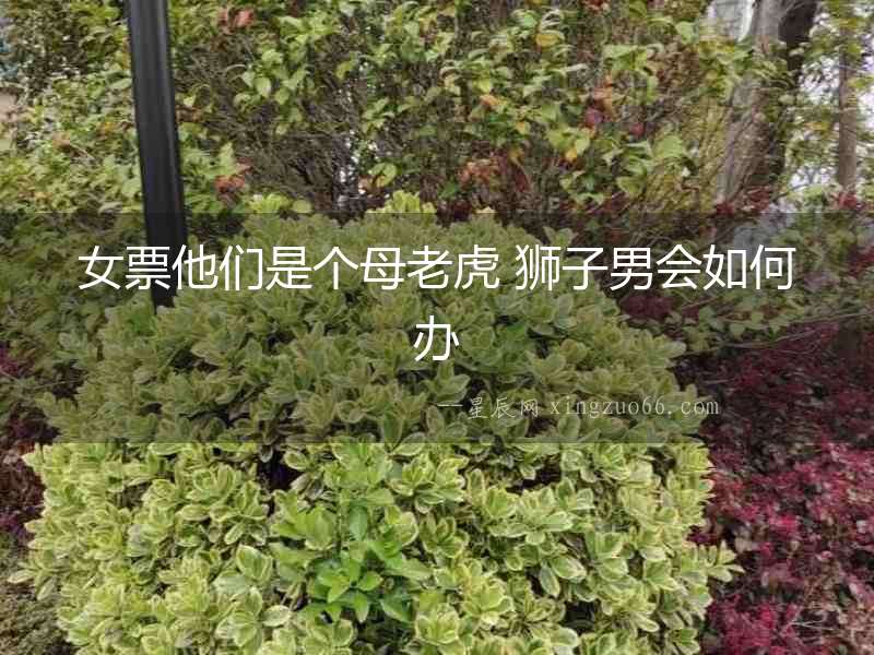 女票他們是個(gè)母老虎 獅子男會(huì)如何辦