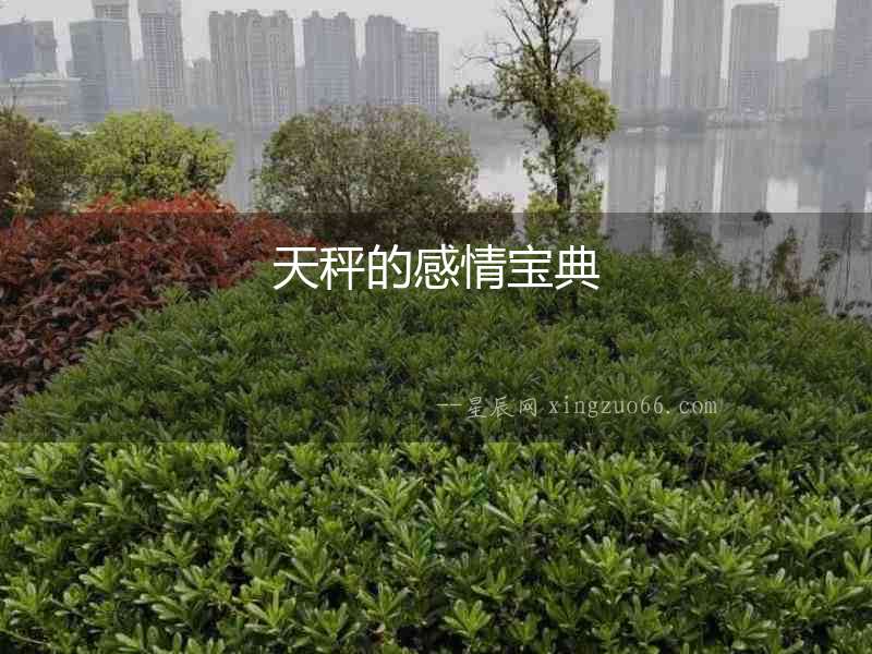 天秤的感情寶典