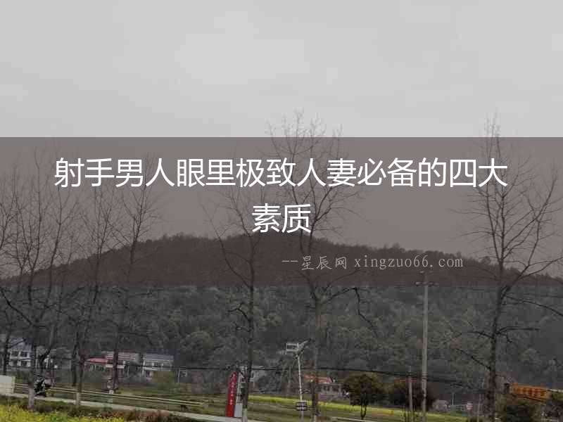 射手男人眼里極致人妻必備的四大素質(zhì)