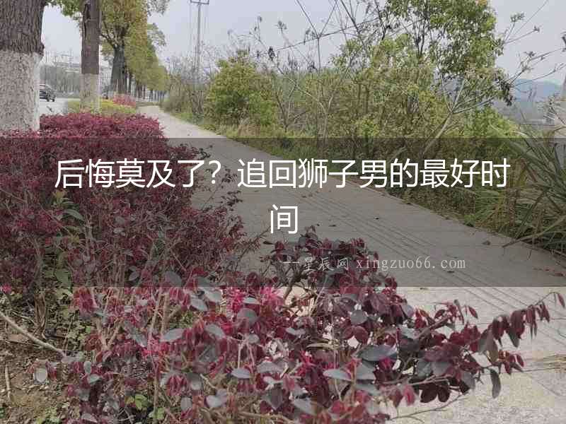 后悔莫及了？追回獅子男的最好時間