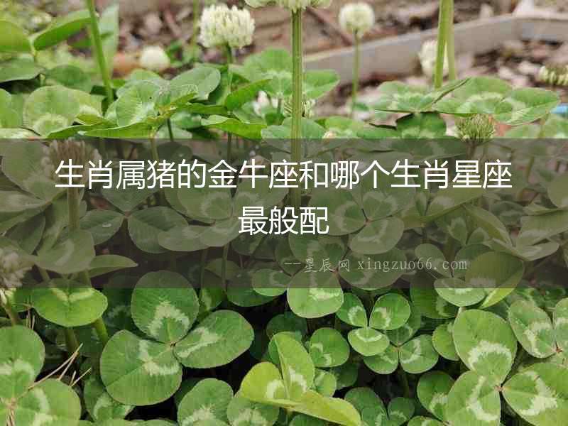 生肖屬豬的金牛座和哪個生肖星座最般配
