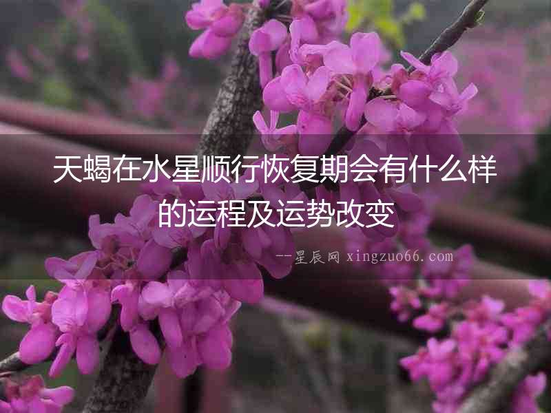 天蝎在水星順行恢復(fù)期會(huì)有什么樣的運(yùn)程及運(yùn)勢(shì)改變