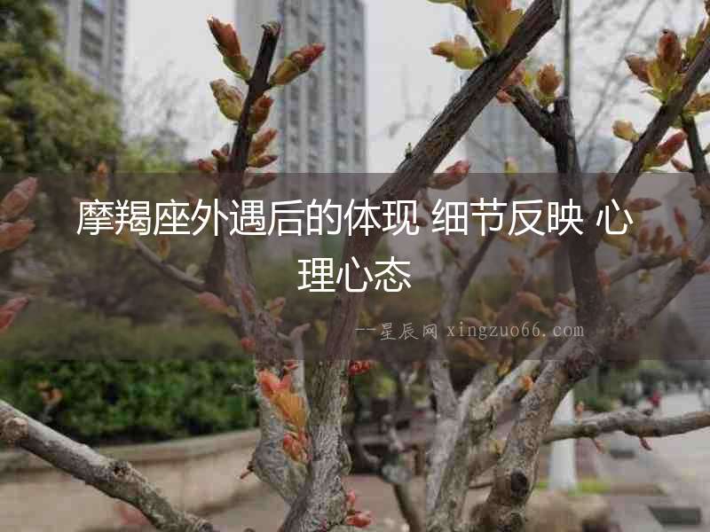 摩羯座外遇后的體現(xiàn) 細節(jié)反映 心理心態(tài)