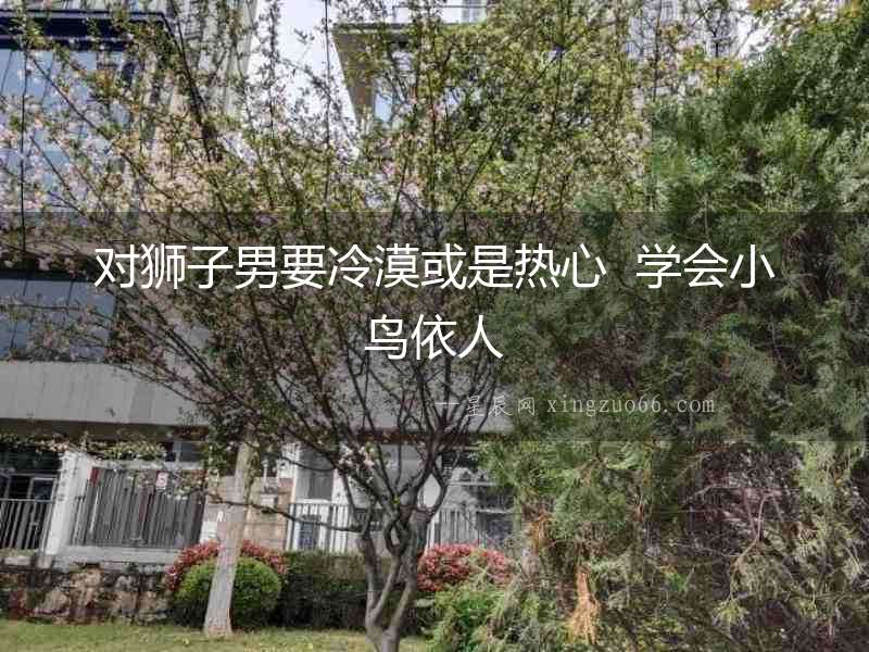 對(duì)獅子男要冷漠或是熱心  學(xué)會(huì)小鳥依人