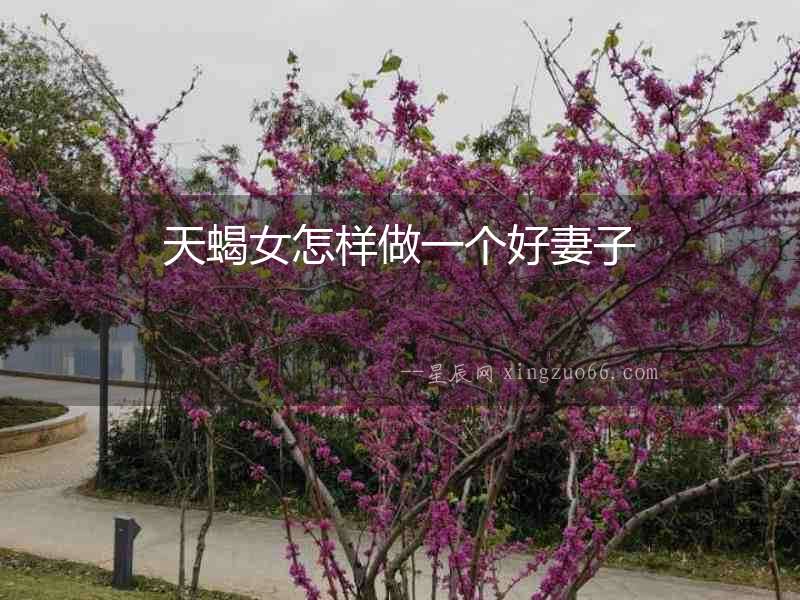 天蝎女怎樣做一個好妻子