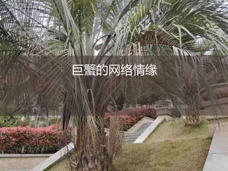 巨蟹的網(wǎng)絡情緣