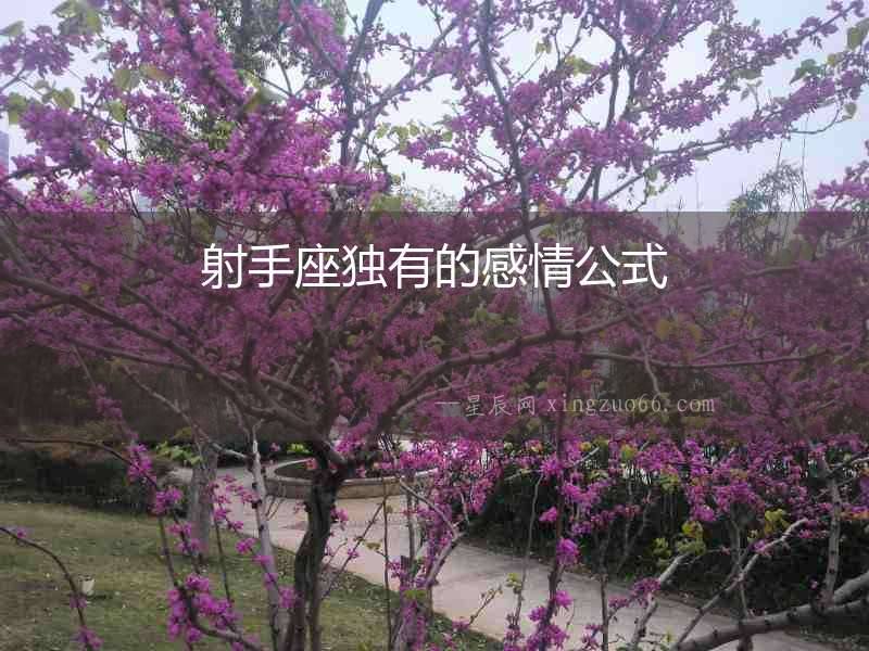 射手座獨有的感情公式