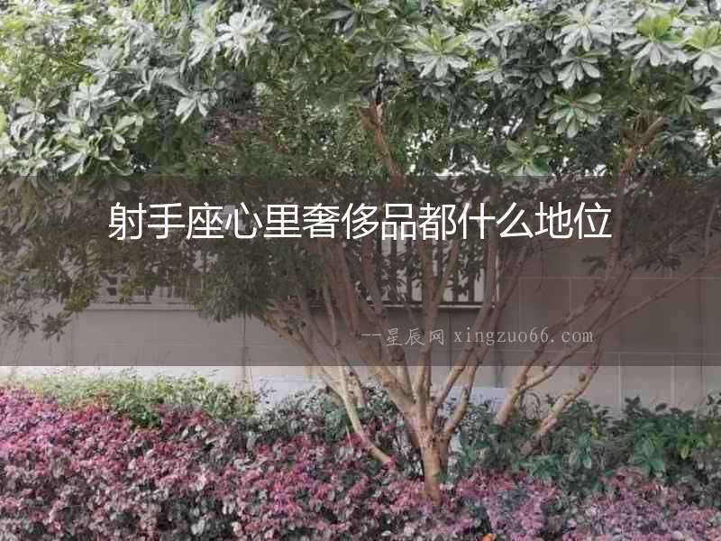 射手座心里奢侈品都什么地位