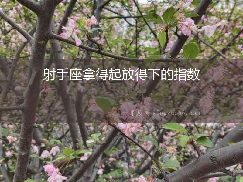 射手座拿得起放得下的指數(shù)