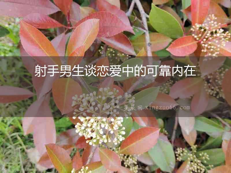 射手男生談戀愛(ài)中的可靠?jī)?nèi)在