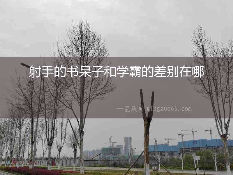 射手的書呆子和學霸的差別在哪