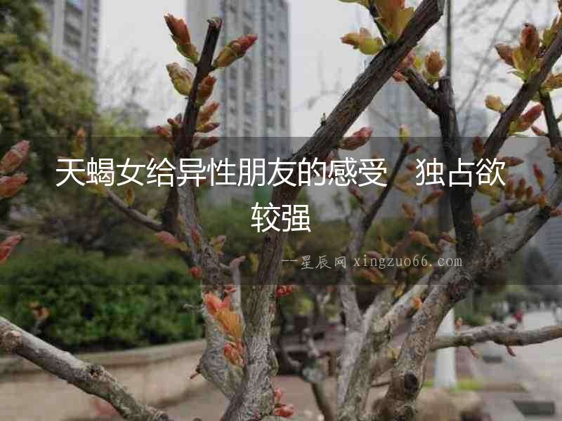 天蝎女給異性朋友的感受   獨(dú)占欲較強(qiáng)