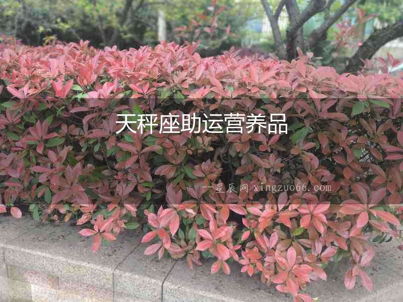 天秤座助運營養品