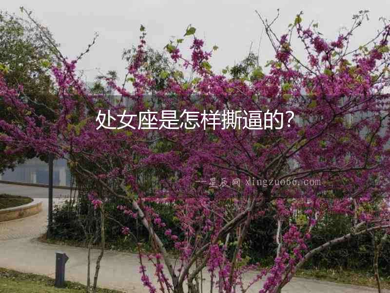 處女座是怎樣撕逼的？