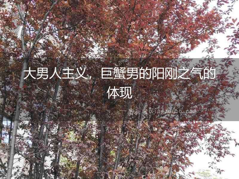大男人主義，巨蟹男的陽剛之氣的體現(xiàn)