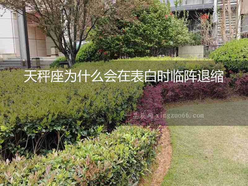 天秤座為什么會在表白時臨陣退縮