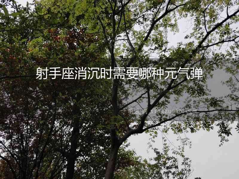 射手座消沉時需要哪種元氣彈