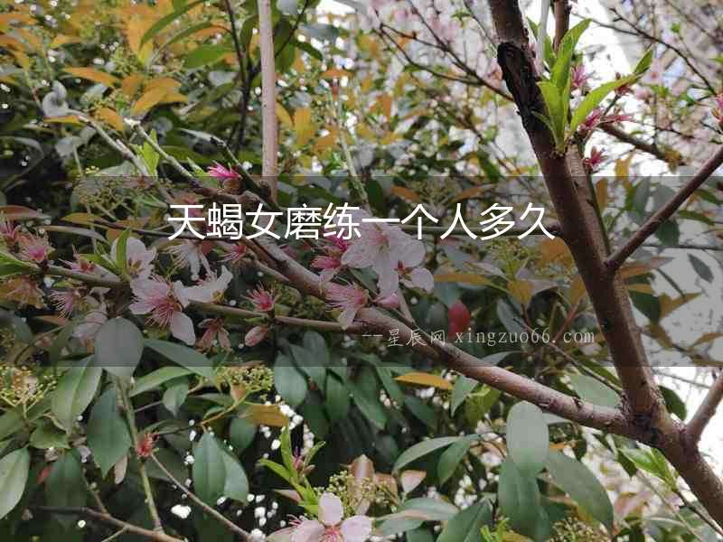 天蝎女磨練一個(gè)人多久