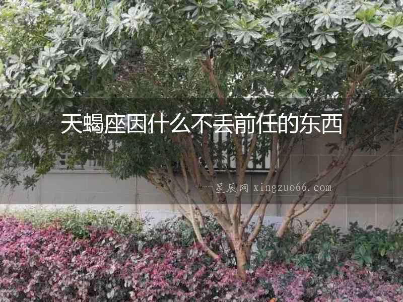 天蝎座因什么不丟前任的東西